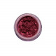 201 BURGUNDY LUMINOUS LOOSE PIGMENT EYESHADOW 4G ELEGANT