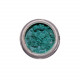 317 RICH TEAL LUMINOUS LOOSE PIGMENT EYESHADOW 4G ELEGANT