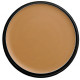 TRUE BEIGE - PARAMEDICAL KAMAFLAGE FOUNDATION 10G MAKEMEUP