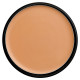 MEDIUM PORCELAIN - PARAMEDICAL KAMAFLAGE FOUNDATION 10G MAKEMEUP
