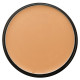 BEIGE TAN - PARAMEDICAL KAMAFLAGE FOUNDATION 10G MAKEMEUP