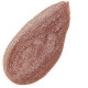 EQUINOX LIPGLOSS LUMISHINE- MAKE ME UP