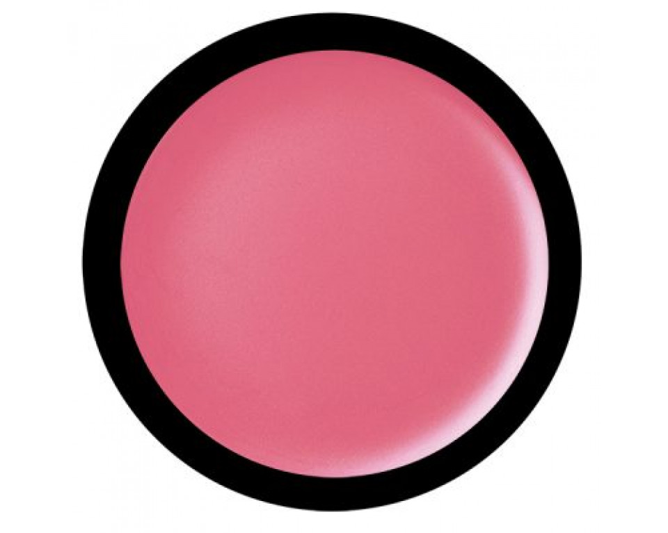 FEISTY- CREME BLUSH 4G MAKEMEUP
