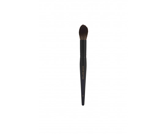 #64 BRUSH HIGHLIGHTER SCOTT BARNES